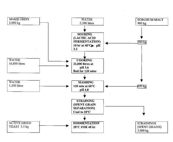 PRINCIPLES OF THE PRODUCTION OF OPAQUE BEER (20 KB)