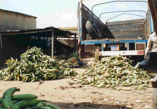 PILE OF BROCKEN AND REMOVED FINGERS