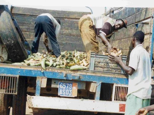 COMMERCIALIZATION II