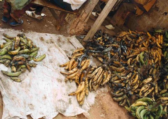 POOR STORAGE CONDITIONS