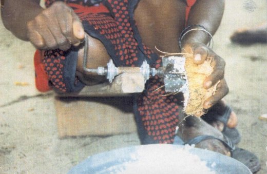 ROTARY COCONUT GRATER