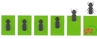 X0295E02.GIF (17133 BYTE)